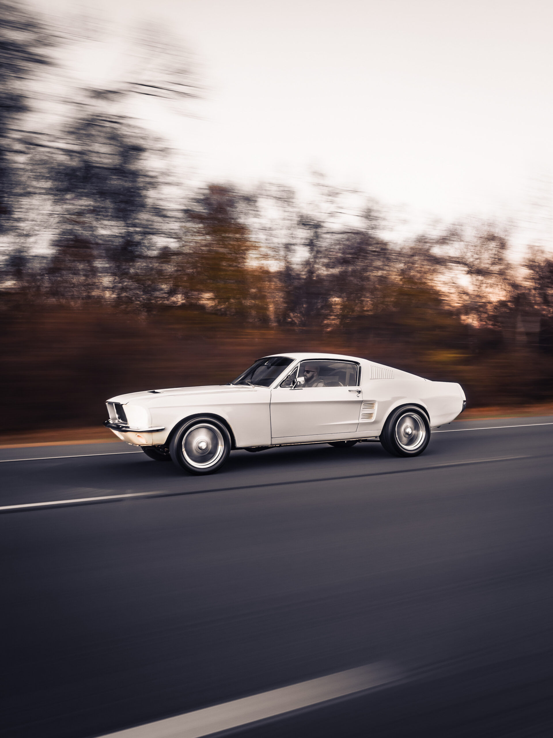 317c8b90 0c74 4bad 9966 888825df6cd2